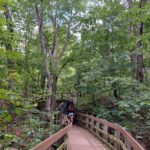 destination-chicago-detroit-72