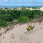 destination-chicago-detroit-73