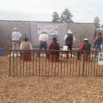 destination-colorado-22