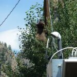 destination-colorado-30