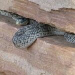 destination-colorado-33