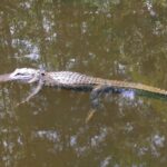 destination-floride-06