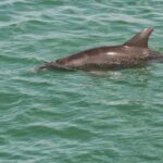 destination-floride-13