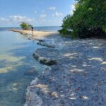 destination-floride-24