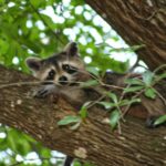 destination-floride-32