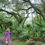 destination-floride-33