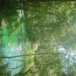 destination-floride-37