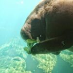 destination-floride-39