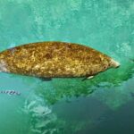 destination-floride-42