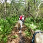 destination-floride-43