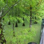 destination-floride-44