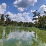 destination-louisiane-05