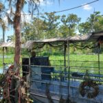 destination-louisiane-06