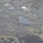 destination-north-west-04