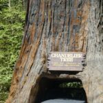 destination-north-west-06