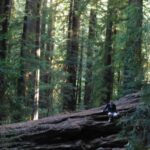 destination-north-west-07