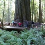 destination-north-west-09