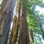 destination-north-west-17