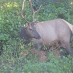 destination-north-west-50