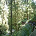 destination-north-west-52