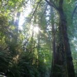 destination-north-west-55