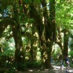 destination-north-west-56