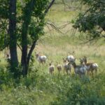 destination-south-dakota-24