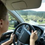 destination-south-dakota-25