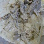 destination-south-dakota-29