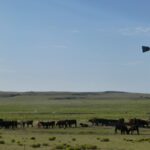 destination-texas-01