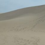 destination-texas-06