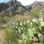 destination-texas-12