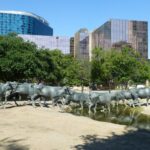 destination-texas-23