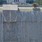 destination-washington-dc-41