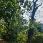 destination-washington-dc-72