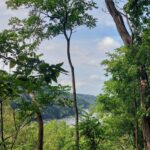 destination-washington-dc-74