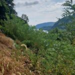 destination-washington-dc-76