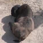 destination-wyoming-04