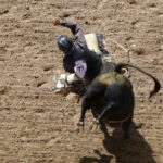 destination-wyoming-06