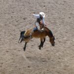 destination-wyoming-08