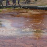 destination-wyoming-11