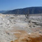 destination-wyoming-12