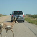 destination-wyoming-21