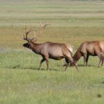 destination-wyoming-33