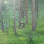 destination-wyoming-36