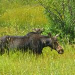 destination-wyoming-41