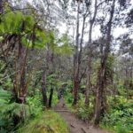 hawaii-big-island-05