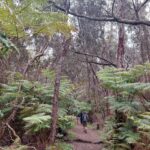 hawaii-big-island-07