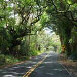 hawaii-big-island-09