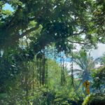 hawaii-big-island-11